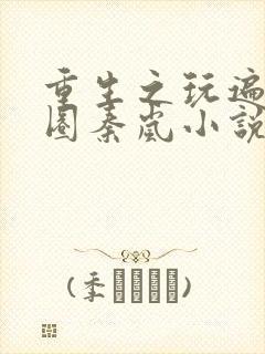 重生之玩遍娱乐圈秦岚小说