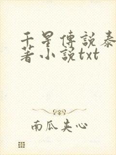 千星传说泰剧原著小说txt