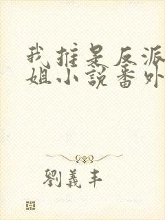 我推是反派大小姐小说番外
