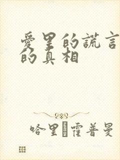 爱里的谎言仇恨的真相