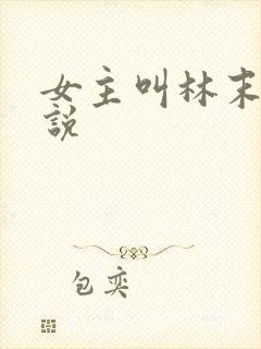 女主叫林末的小说