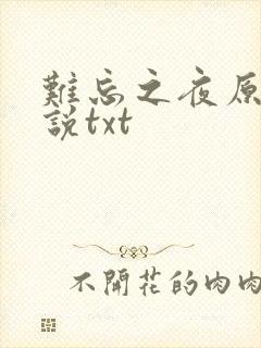 难忘之夜原著小说txt