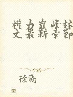 权力巅峰林毅全文最新章节