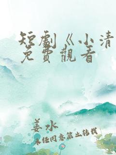 短剧《小清欢》免费观看