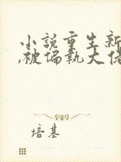 小说重生新婚夜,被偏执大佬亲疯了免费