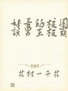 好看的校园文小说男主校霸