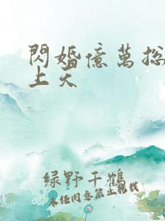 闪婚亿万总裁宠上天