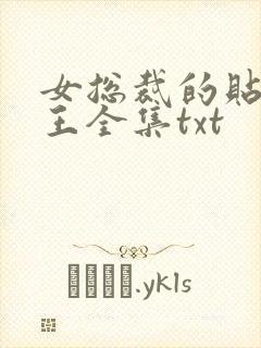 女总裁的贴身兵王全集txt