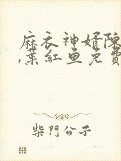 麻衣神婿陈黄皮,叶红鱼免费阅读十六章