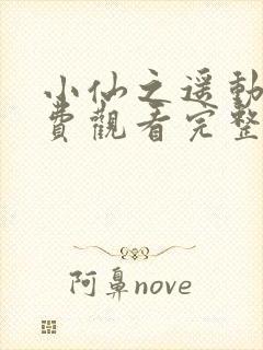 小仙之遥动漫免费观看完整版高清