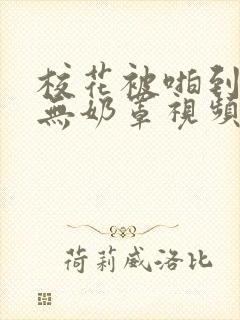 校花被啪到裸乳无奶罩视频