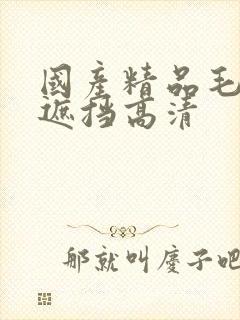 国产精品毛片无遮挡高清