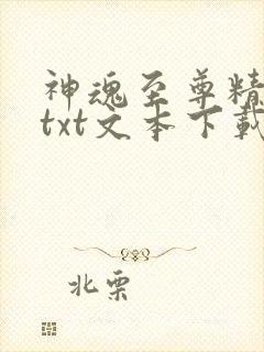 神魂至尊精校版txt文本下载