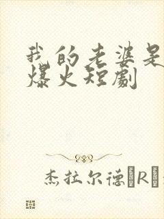 我的老婆是大佬爆火短剧
