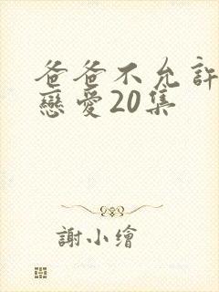 爸爸不允许我谈恋爱20集