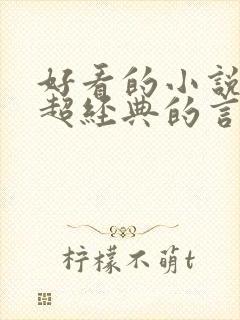 好看的小说推荐超经典的言情