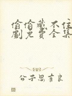 偷偷藏不住广播剧免费全集