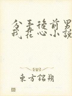 分手后前男友把我花心小说