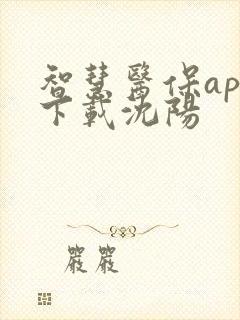 智慧医保app下载沈阳