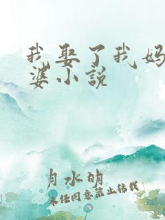 我娶了我妈当老婆小说