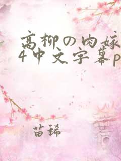 高柳の肉嫁1～4中文字幕pro