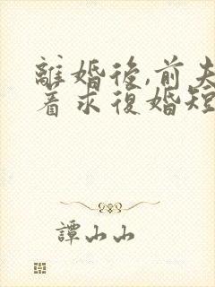 离婚后,前夫哭着求复婚短剧免费观看