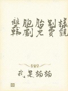 双胞胎别样人生韩剧免费观看全集