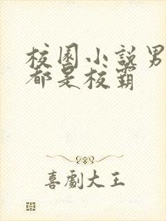 校园小说男女主都是校霸