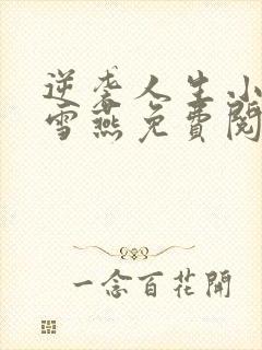 逆袭人生小说梁雪燕免费阅读