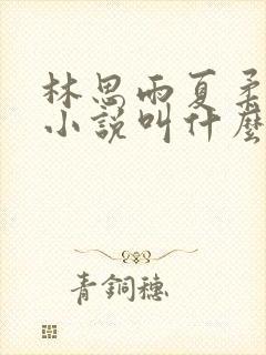林思雨夏柔霍安小说叫什么名字