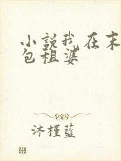 小说我在末世当包租婆