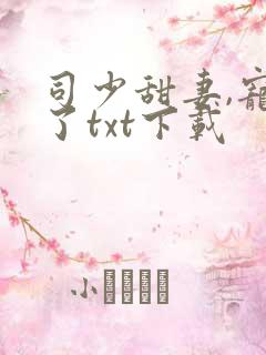 司少甜妻,宠定了txt下载