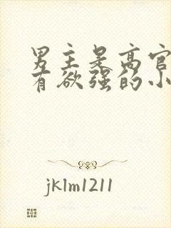 男主是高官且占有欲强的小说