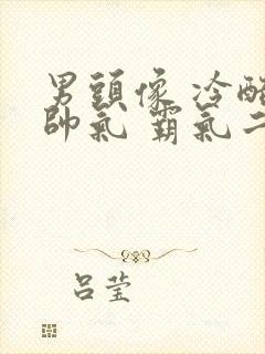 男头像 冷酷 帅气 霸气二次元