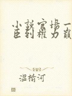 小说官场一等功臣到权力巅峰