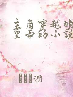 主角穿越明朝当皇帝的小说