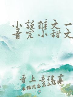 小说推文一口气看完小甜文