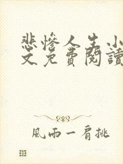 悲惨人生小说全文免费阅读