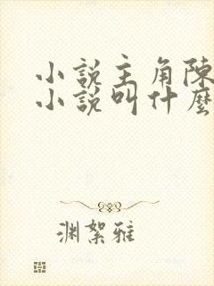 小说主角陈平的小说叫什么