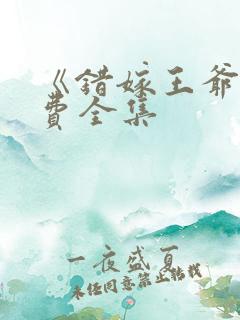 《错嫁王爷》免费全集