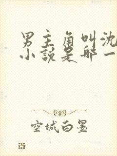 男主角叫沈浪的小说是哪一部