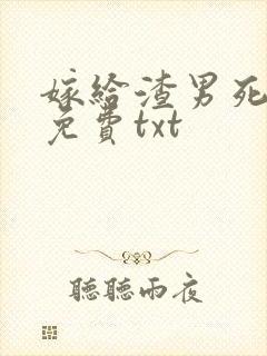 嫁给渣男死对头免费txt