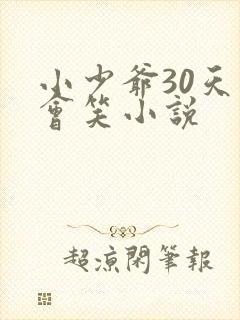 小少爷30天后会笑小说