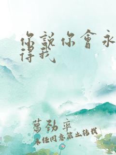 你说你会永远记得我