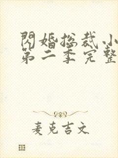 闪婚总裁小娇妻第二季完整版