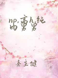 np,高h,纯肉男男