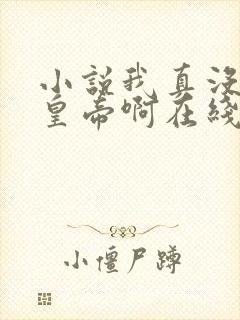 小说我真没想当皇帝啊在线阅读