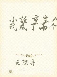 小说 重生八零我成了两个孩子的后妈