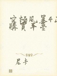 究极风暴4正版购买平台