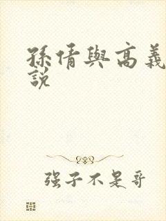 孙倩与高义的小说